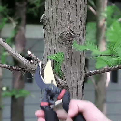 (30% off) Extra-durable sharp pruning shears - Buy three and get free shipping!