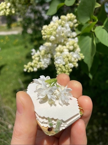 💐Micro Flower Press
