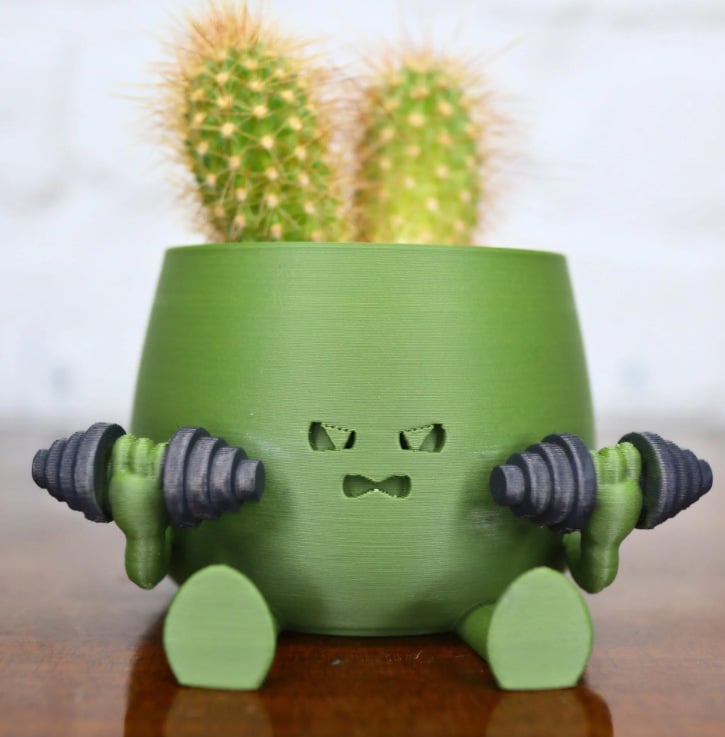 Happy Face Planter