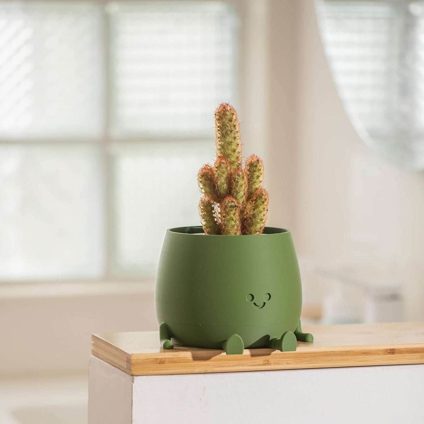 Happy Face Planter