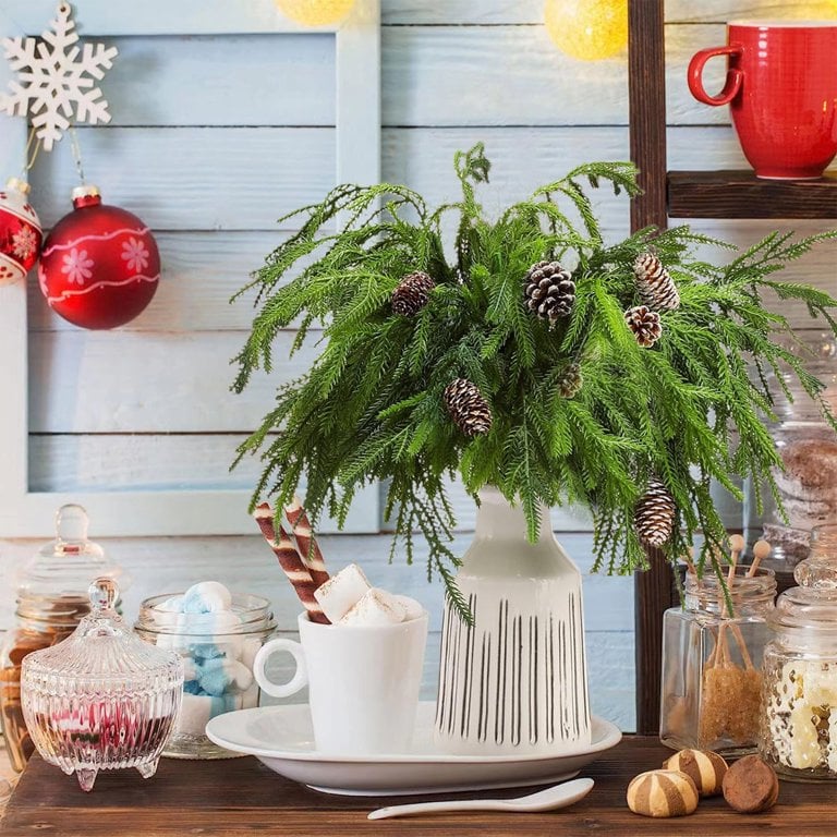 🎄Natural Christmas Greenery🎄Norfolk Pine Branch