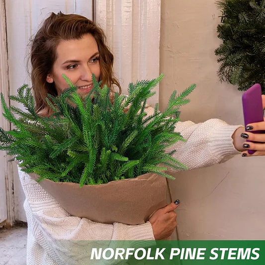 🎄Natural Christmas Greenery🎄Norfolk Pine Branch