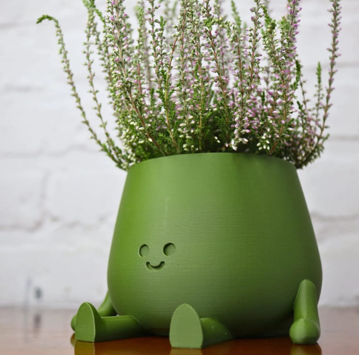 Happy Face Planter