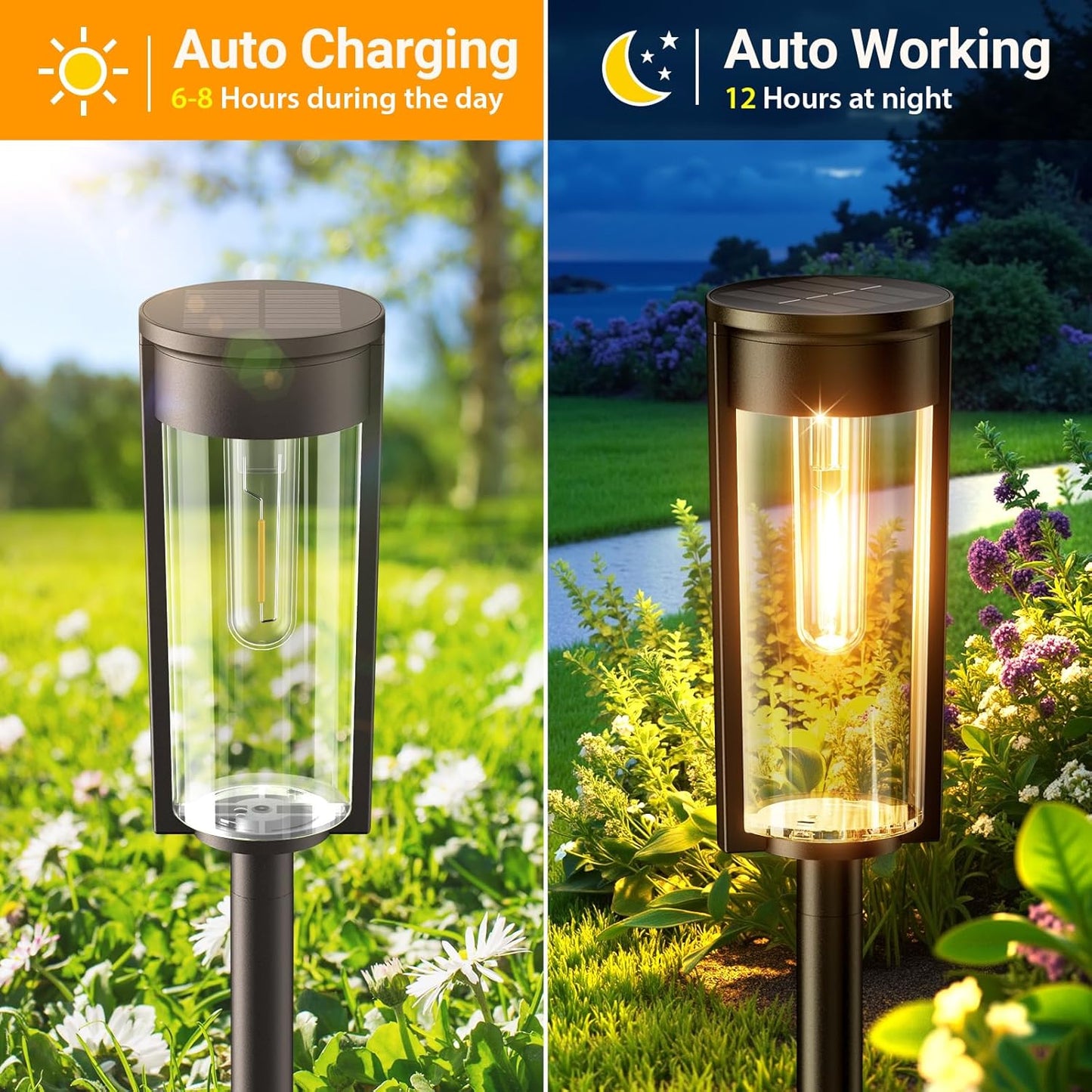 ✨Solar Pathway Lights