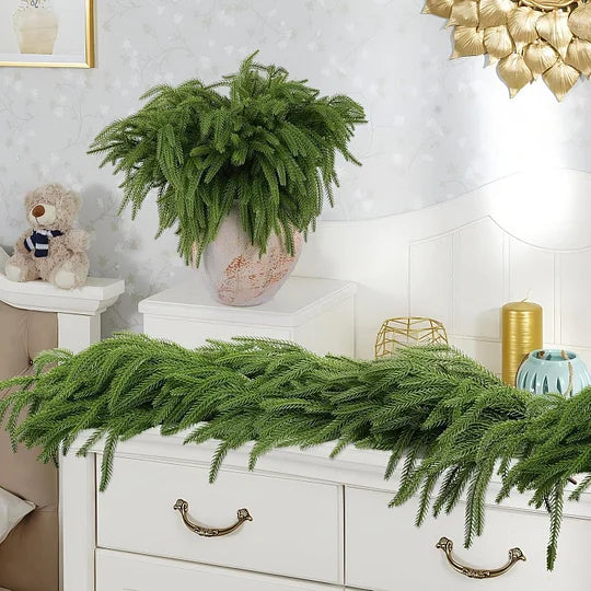 🎄Natural Christmas Greenery🎄Norfolk Pine Branch