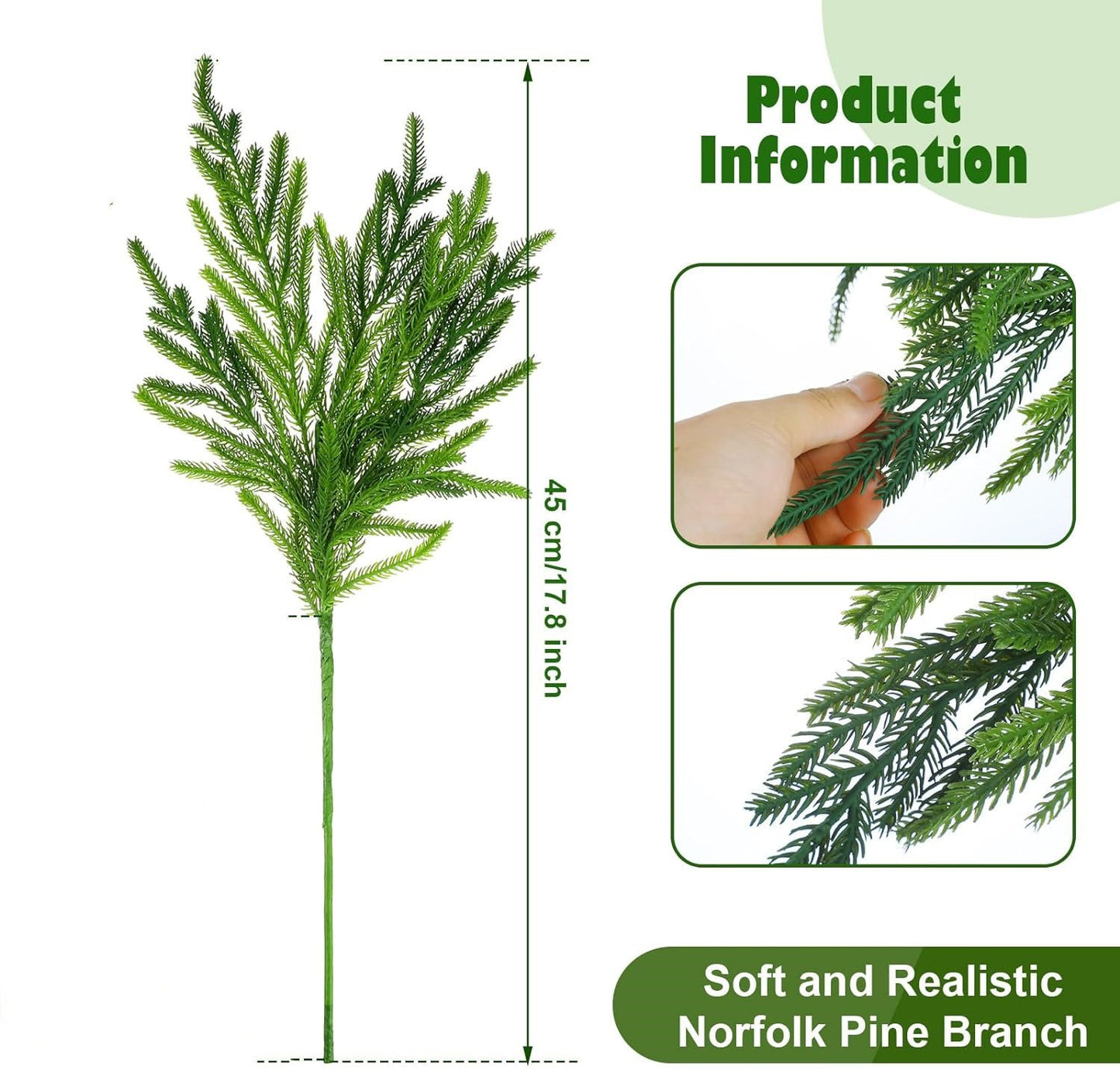 🎄Natural Christmas Greenery🎄Norfolk Pine Branch