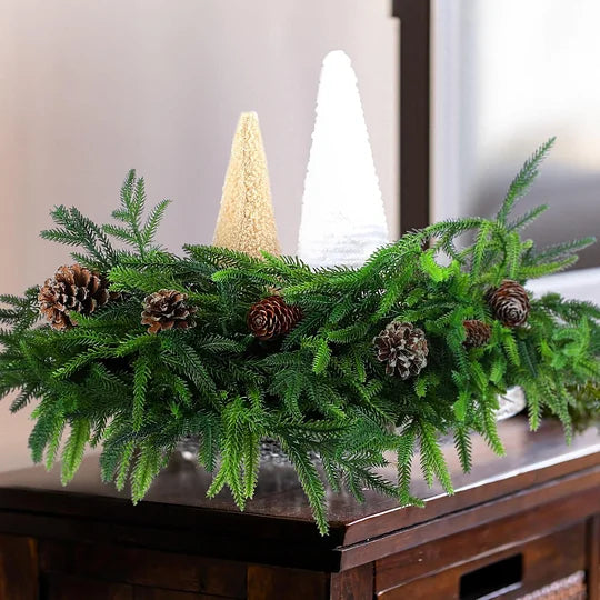 🎄Natural Christmas Greenery🎄Norfolk Pine Branch