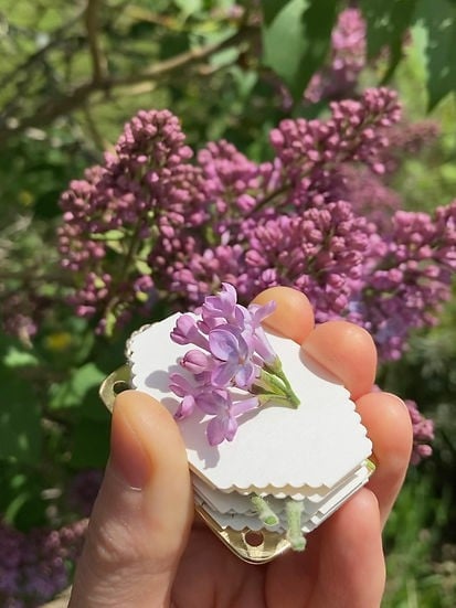 💐Micro Flower Press