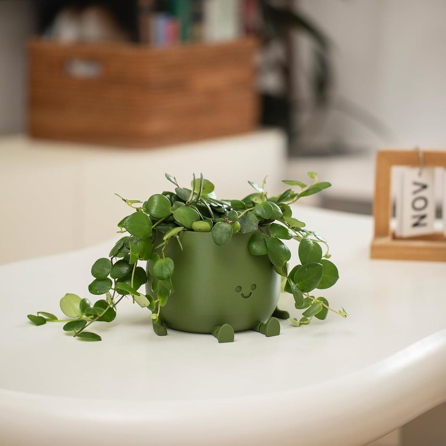 Happy Face Planter