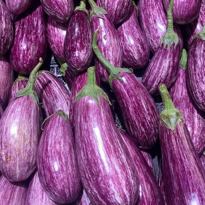 Flower Eggplant Seeds