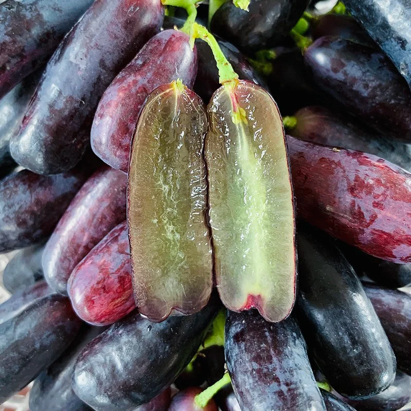 Sweet Sapphire Grape Seeds