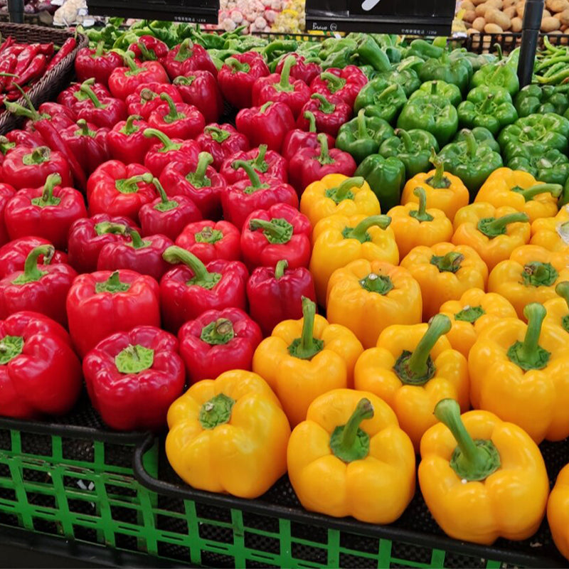 Rainbow Sweet Bell Pepper Seeds