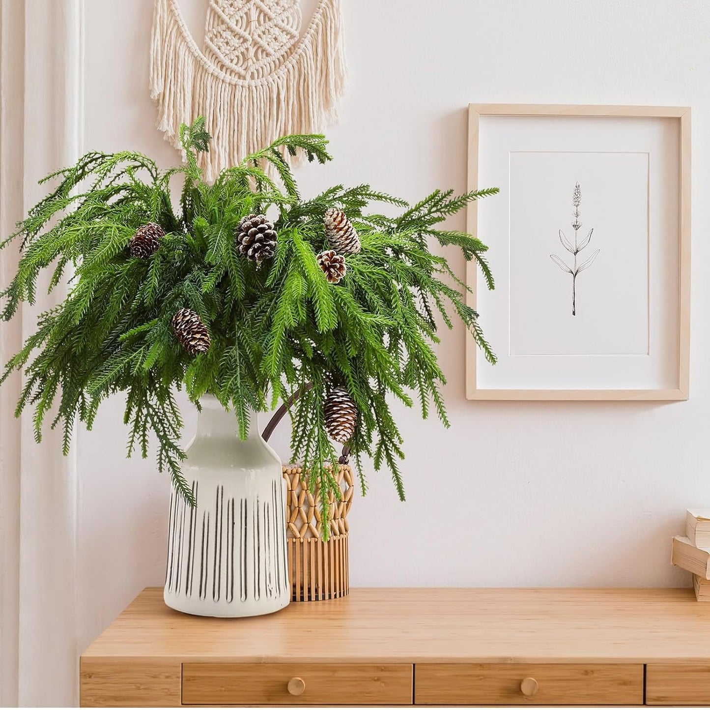 🎄Natural Christmas Greenery🎄Norfolk Pine Branch