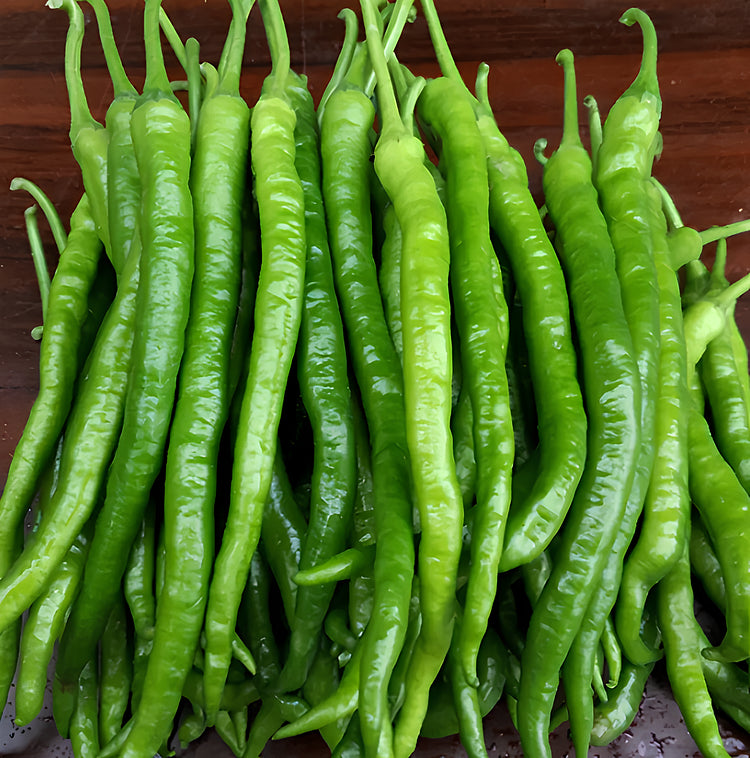 Spicy long pepper vegetable seeds