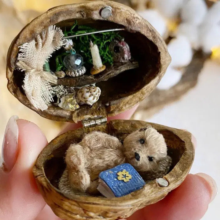 Handmade.Walnut Shell Doll House--mini library, tiny World inside walnuts