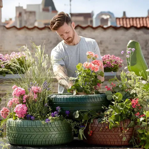 Rainbow Garden Seed Mix Soil And Ring